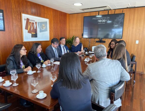 REPRESENTANTES DO SINPOFESC DEBATEM APOSENTADORIA POLICIAL EM BRASÍLIA